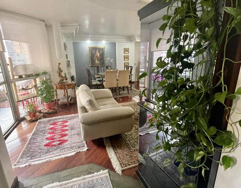 Apartamento 3 dormitórios no Morumbi
